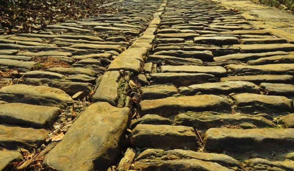 Cesta Roman